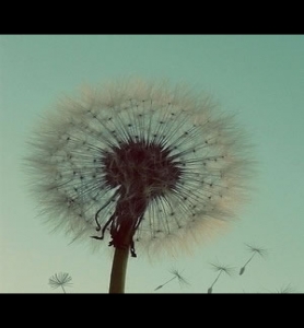 《無線遠傳膜式燃氣表》城建/T503-2016全文