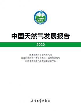 2020中國天然氣發(fā)展報(bào)告（含2017、2018、2019、2020）